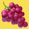 repository icon