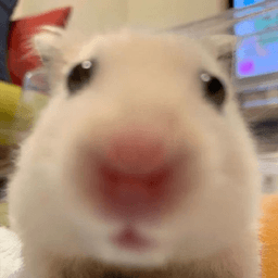 huggingface