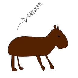 craftcms