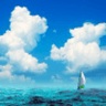 repository icon