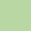 rhizome-conifer