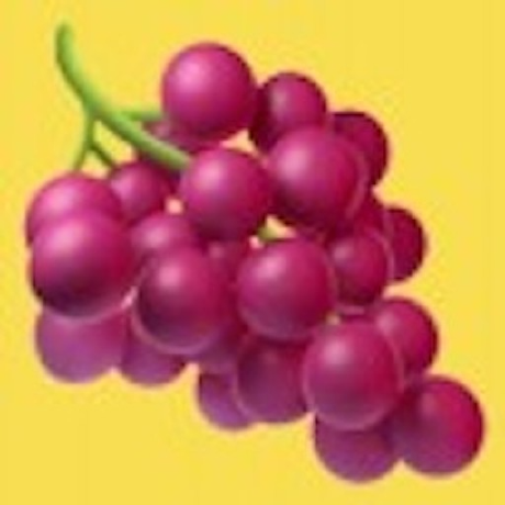 berriai/litellm logo